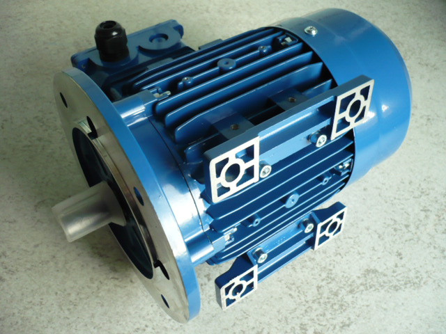 Electric motor 19mm shaft replacement motor VEM Sachsenwerk VEB DDR Takraf Lunzenau