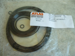 Oil seal Gasket Seal kit gasket Mini excavator Atlas 404 R 3647767