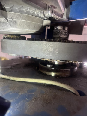 toothed flat belt for Zippo lift type 1150 1226 1226.1 1250 1501 1506 1511 1521 1526 1531 1532